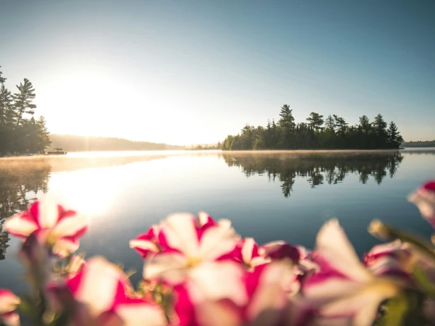 Ost Kanada Ontario Frühling