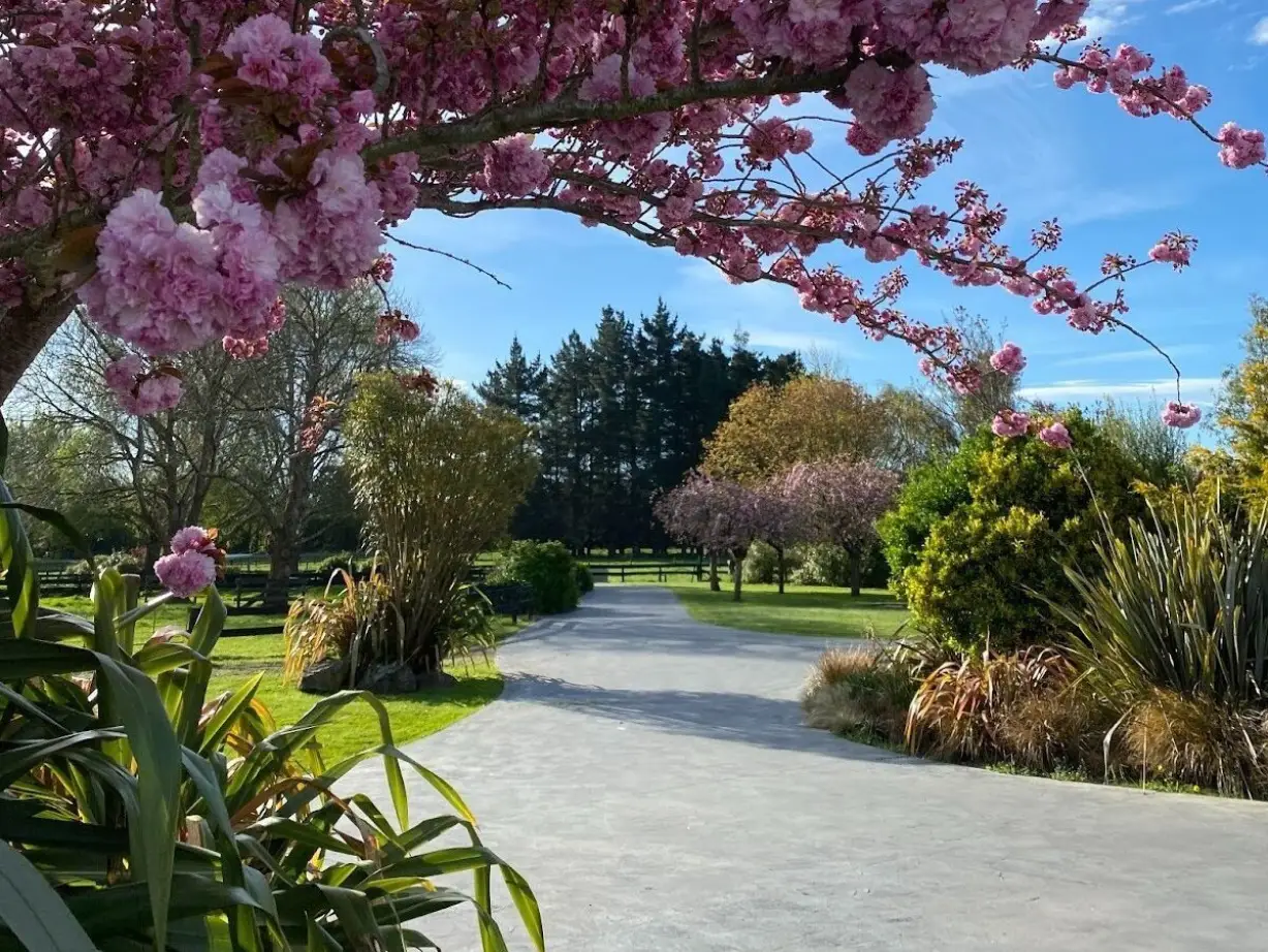 Elternzeit christchurch