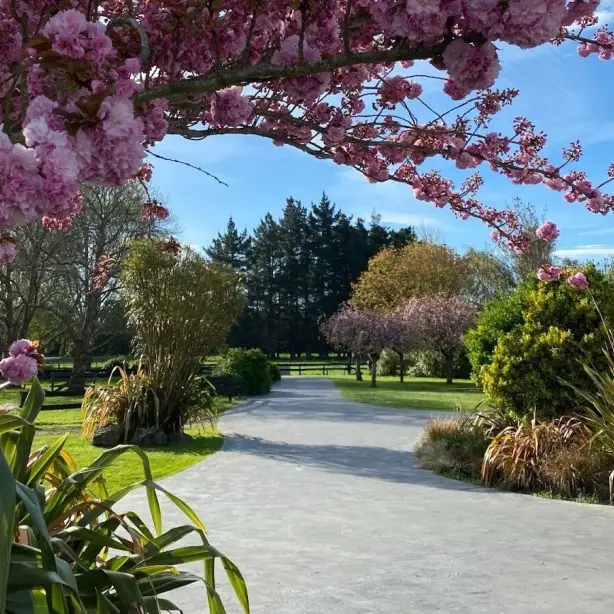 Elternzeit christchurch