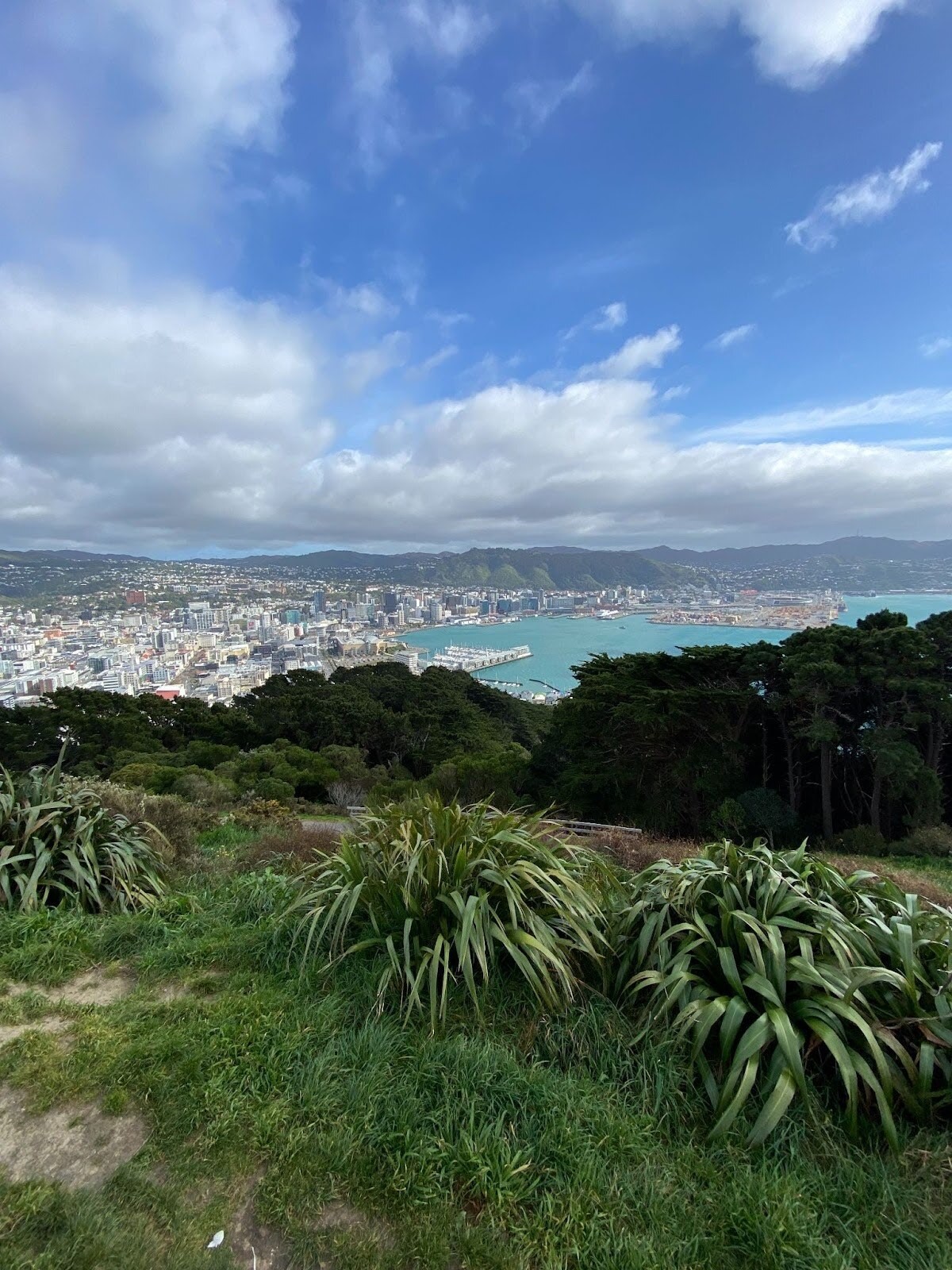 Elternzeit wellington2