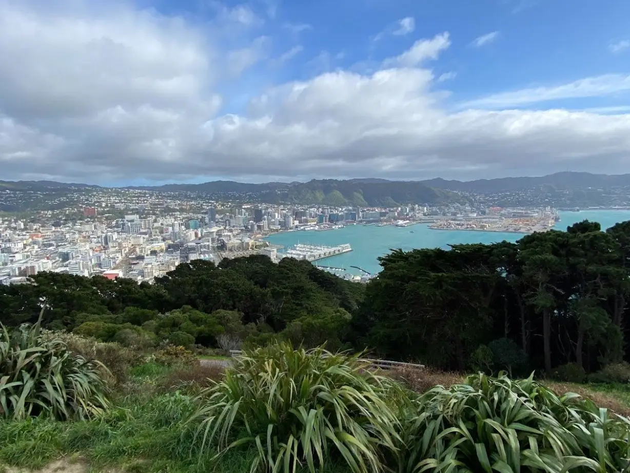 Elternzeit wellington2