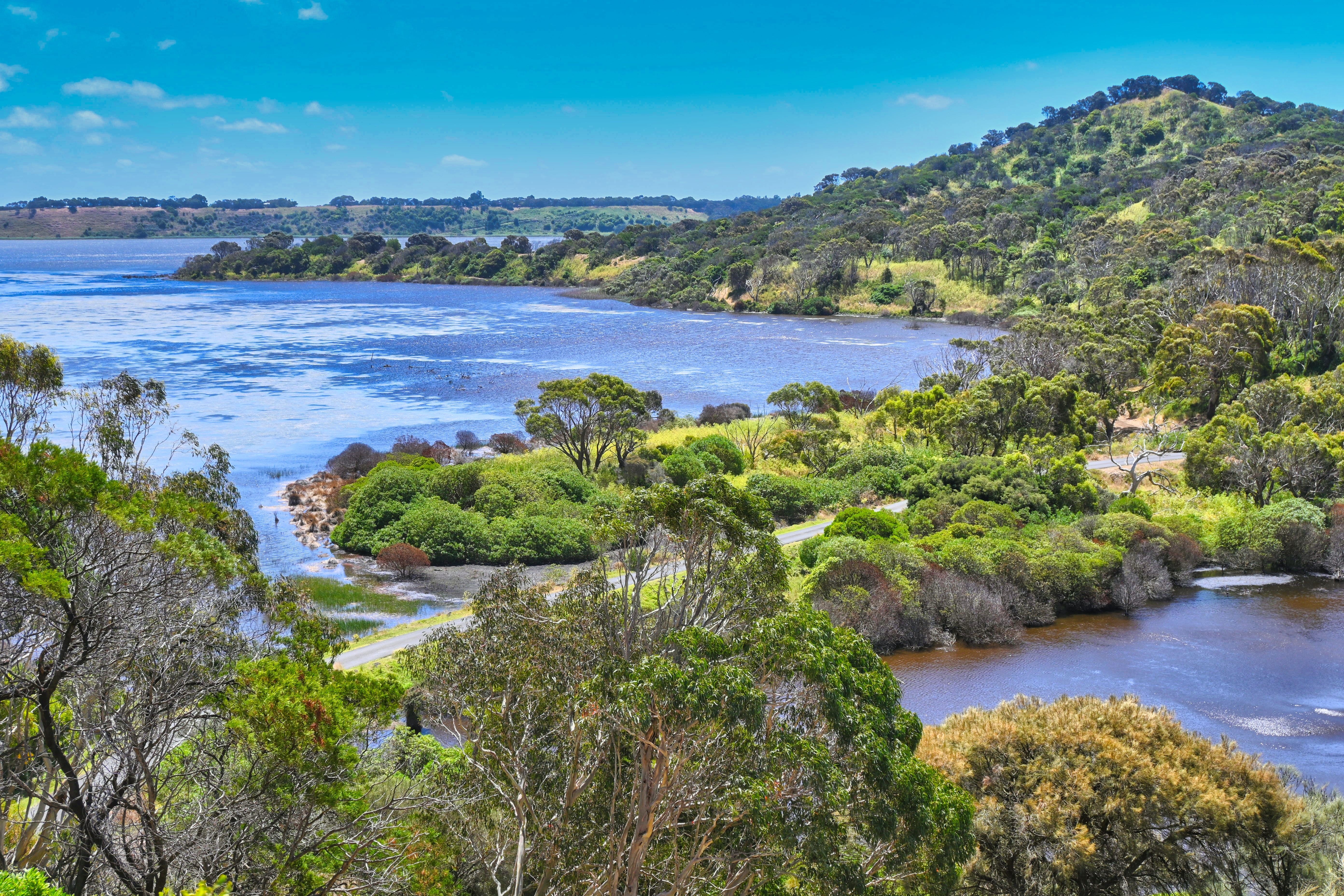 Australien Tower Hill Wildlife Reserve