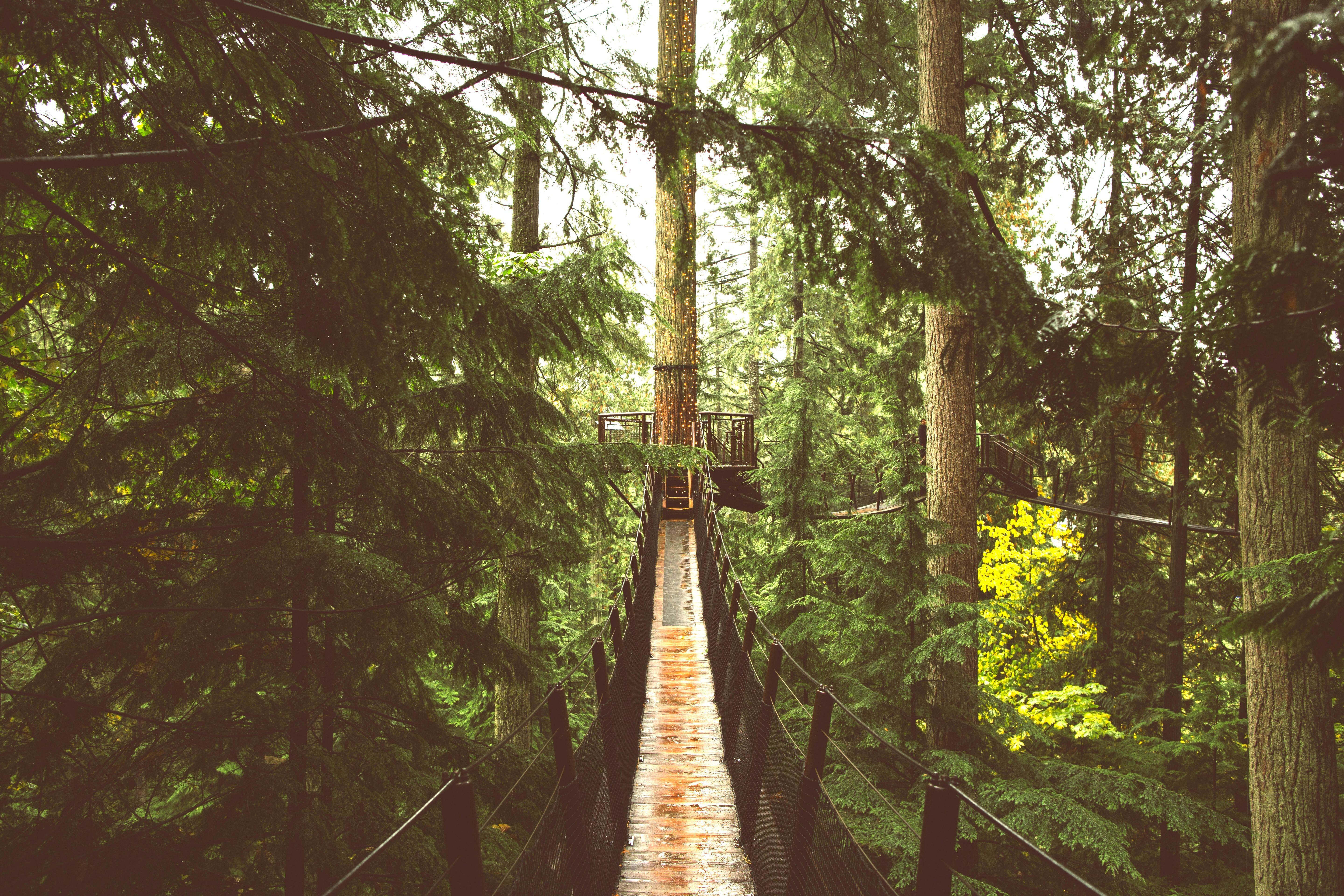 Hunter reilly fc Kf Dyel Er E unsplash