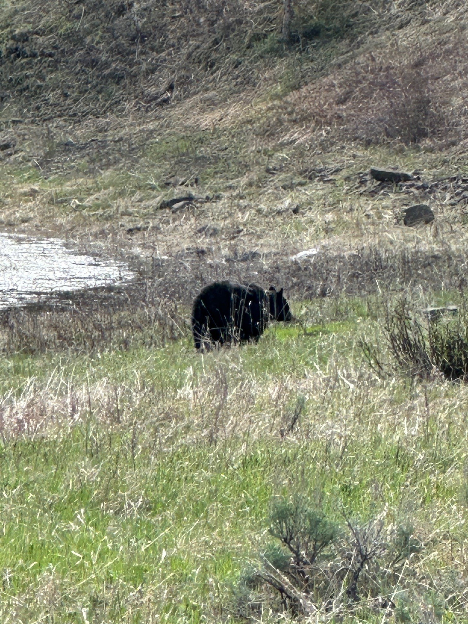 Image12