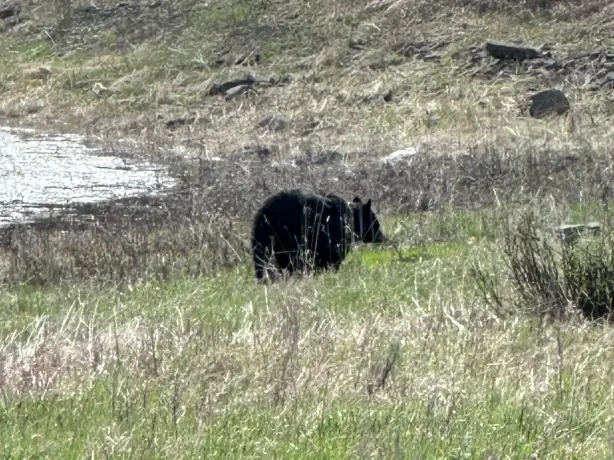 Image12