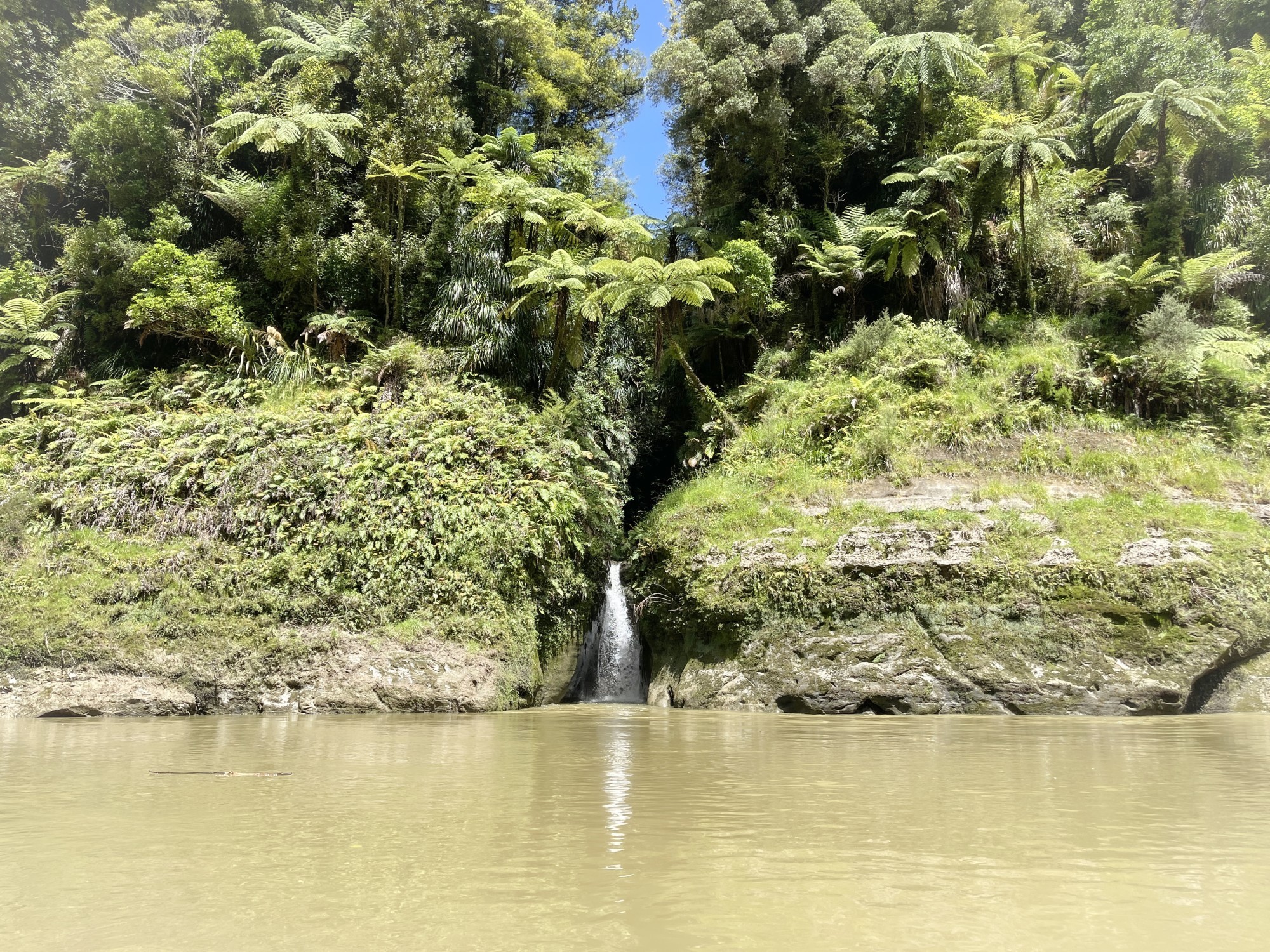 Blick vom Fluss auf eine kleine Schlucht, aus der ein Wasserfall in den Fluss mündet. Auf der Flussböschung ragen hohe Palmen über die Schlucht empor.