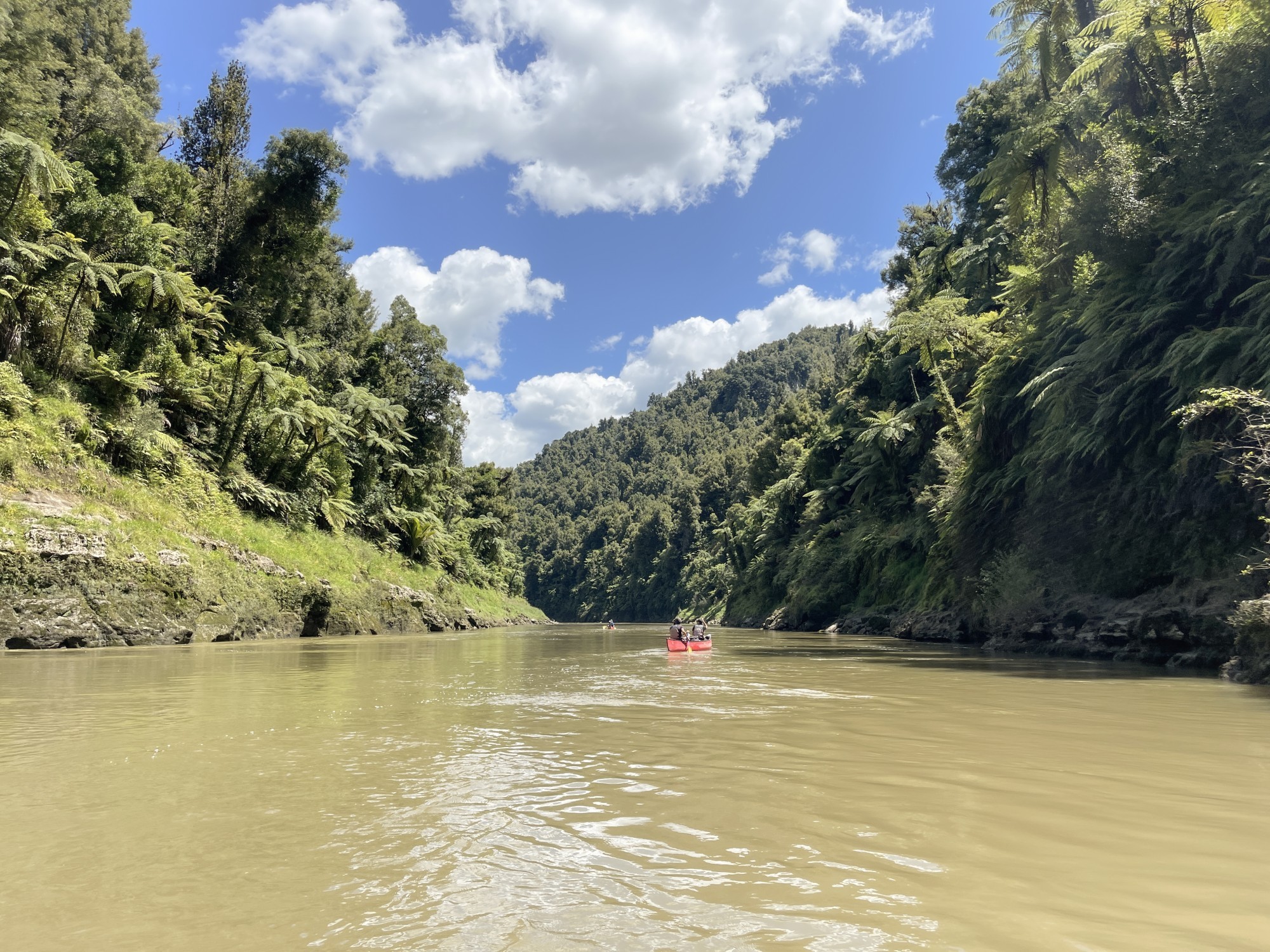 Blick vom Fluss aus: Menschen im Kanu, Bäume und Sträucher an den Ufern.