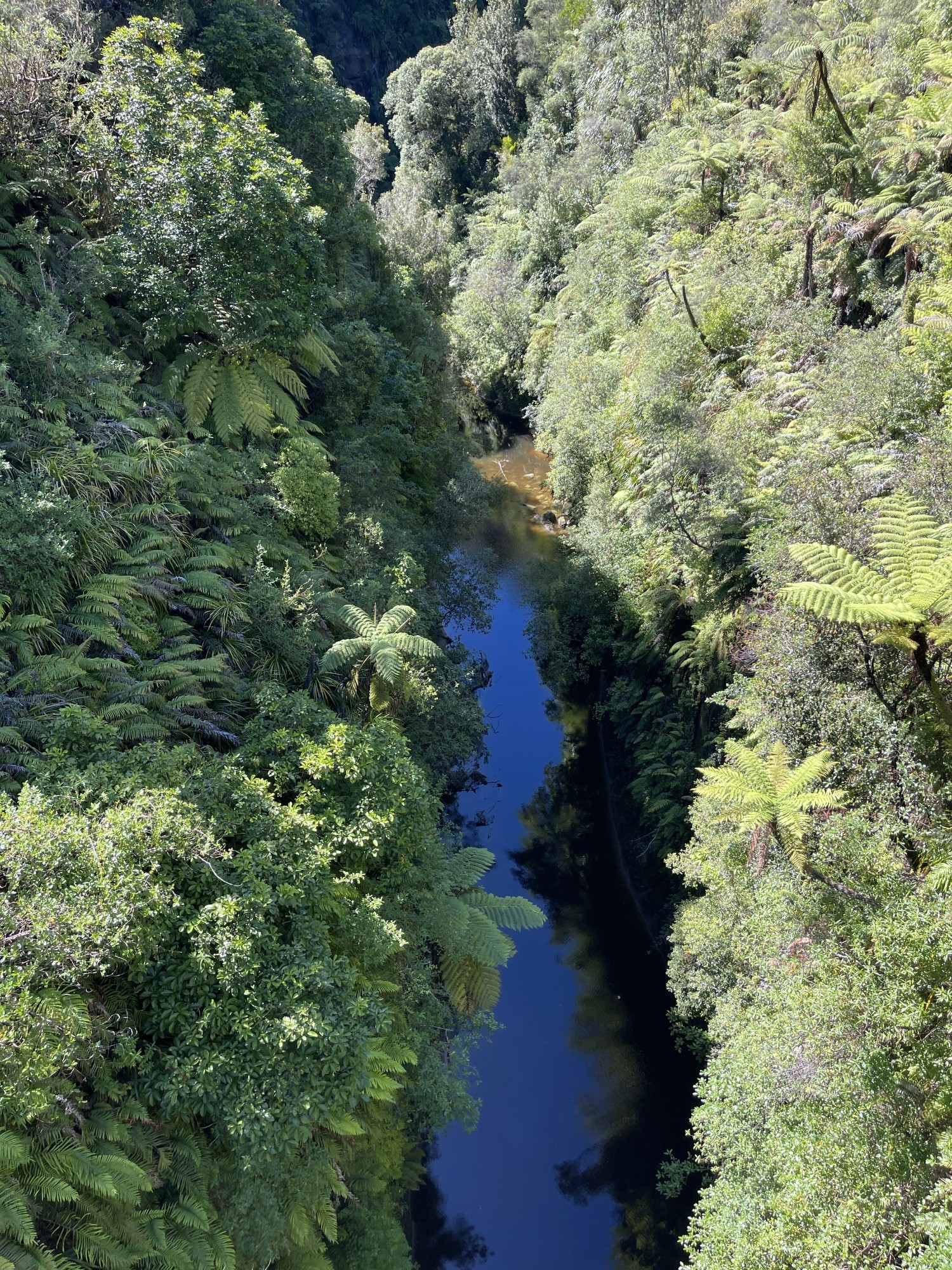 Blick aus der Vogelperspektive von der „Brücke ins Nirgendwo“ auf den Fluss. Zu beiden Seiten des Flusses erstrecken sich Grünflächen und Bäume.