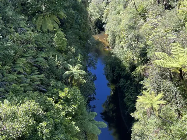 Blick aus der Vogelperspektive von der „Brücke ins Nirgendwo“ auf den Fluss. Zu beiden Seiten des Flusses erstrecken sich Grünflächen und Bäume.