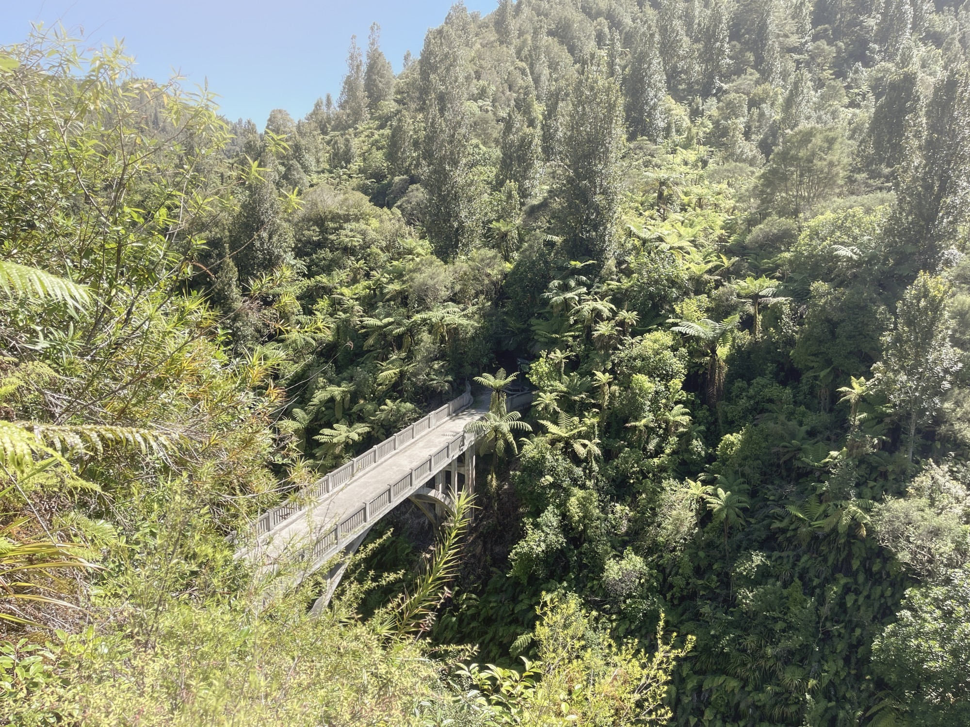 Die „Brücke ins Nirgendwo“ taucht inmitten des üppigen Regenwaldes auf.