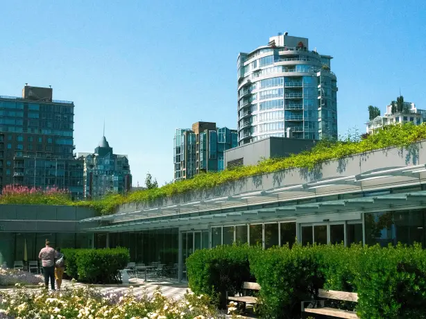 Begrünter Dachgarten mit blühenden Beeten und Sitzgelegenheiten in Vancouver, Kanada
