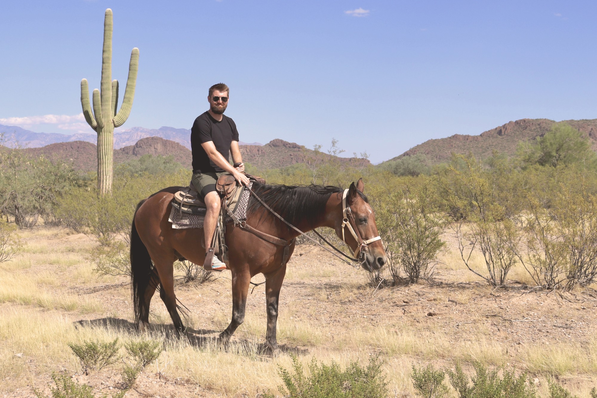 Luke, travelessence expert, on a horse