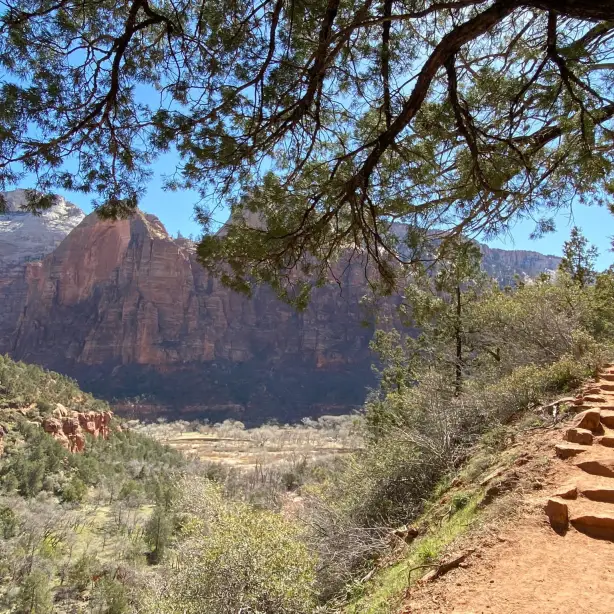 Littleamerica usa zion nationalpark middle emerald pools