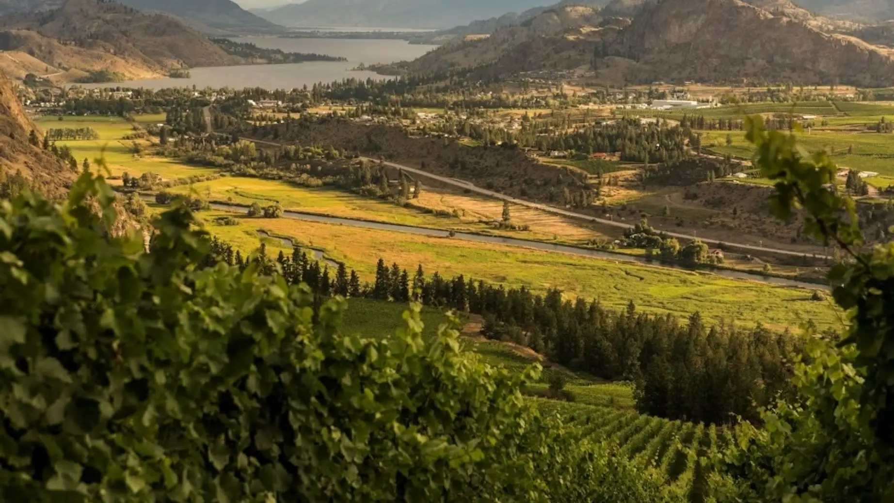 CA British Columbia Okanagan Valley Full View copy