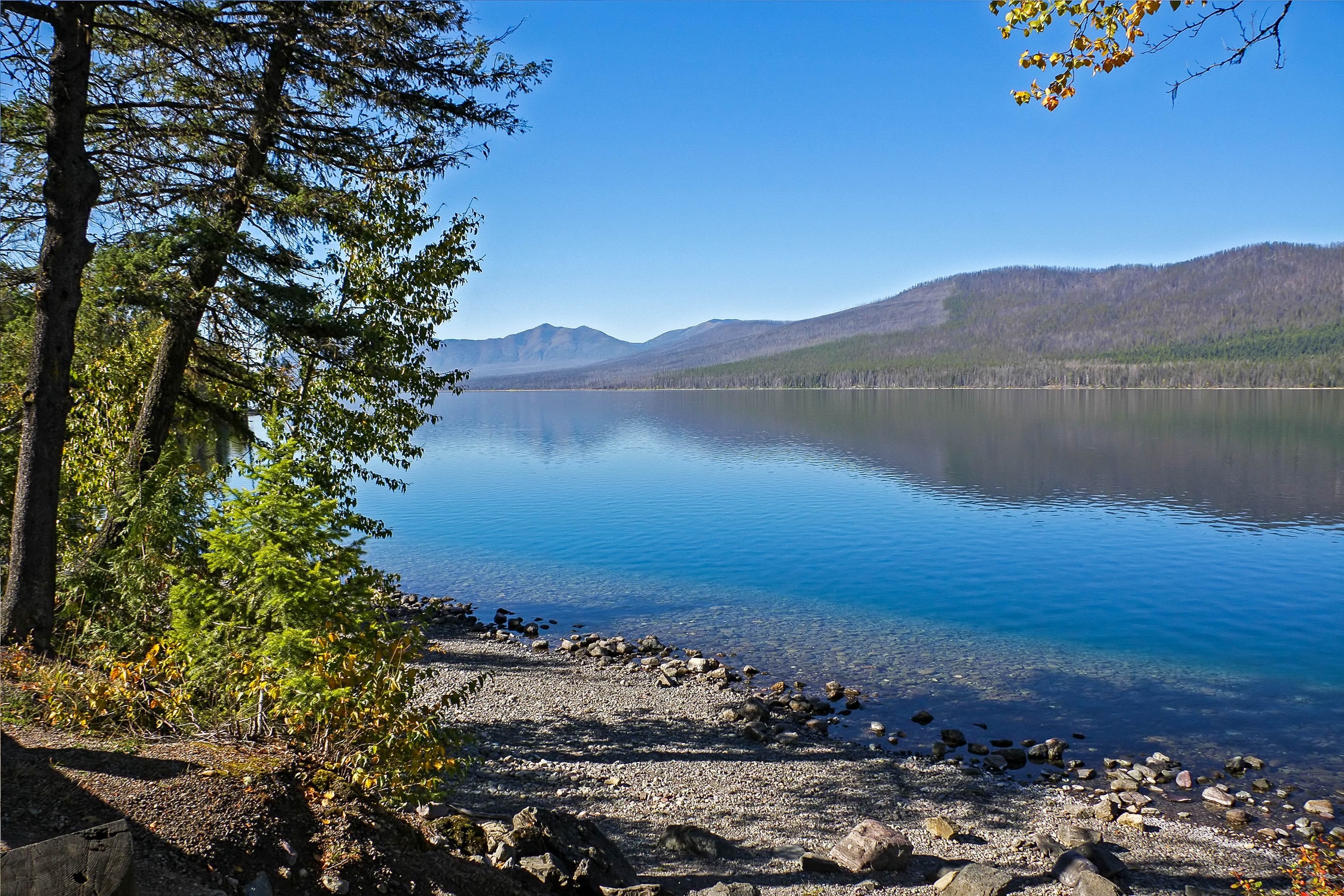 CA Alberta Waterton Lakes National Park nature water