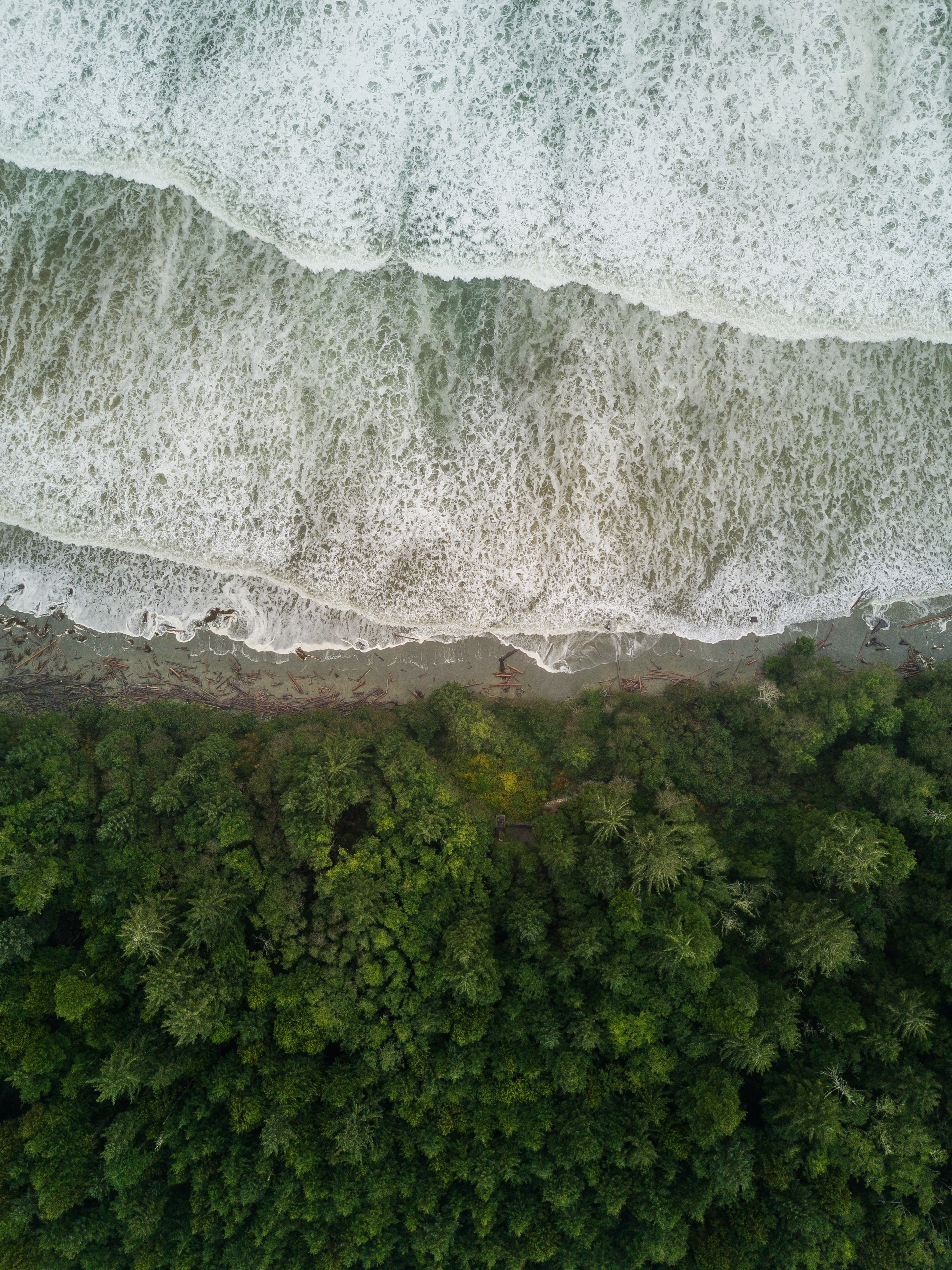 CA British Columbia Pacific Rim National Park waves Lennart heim unsplash