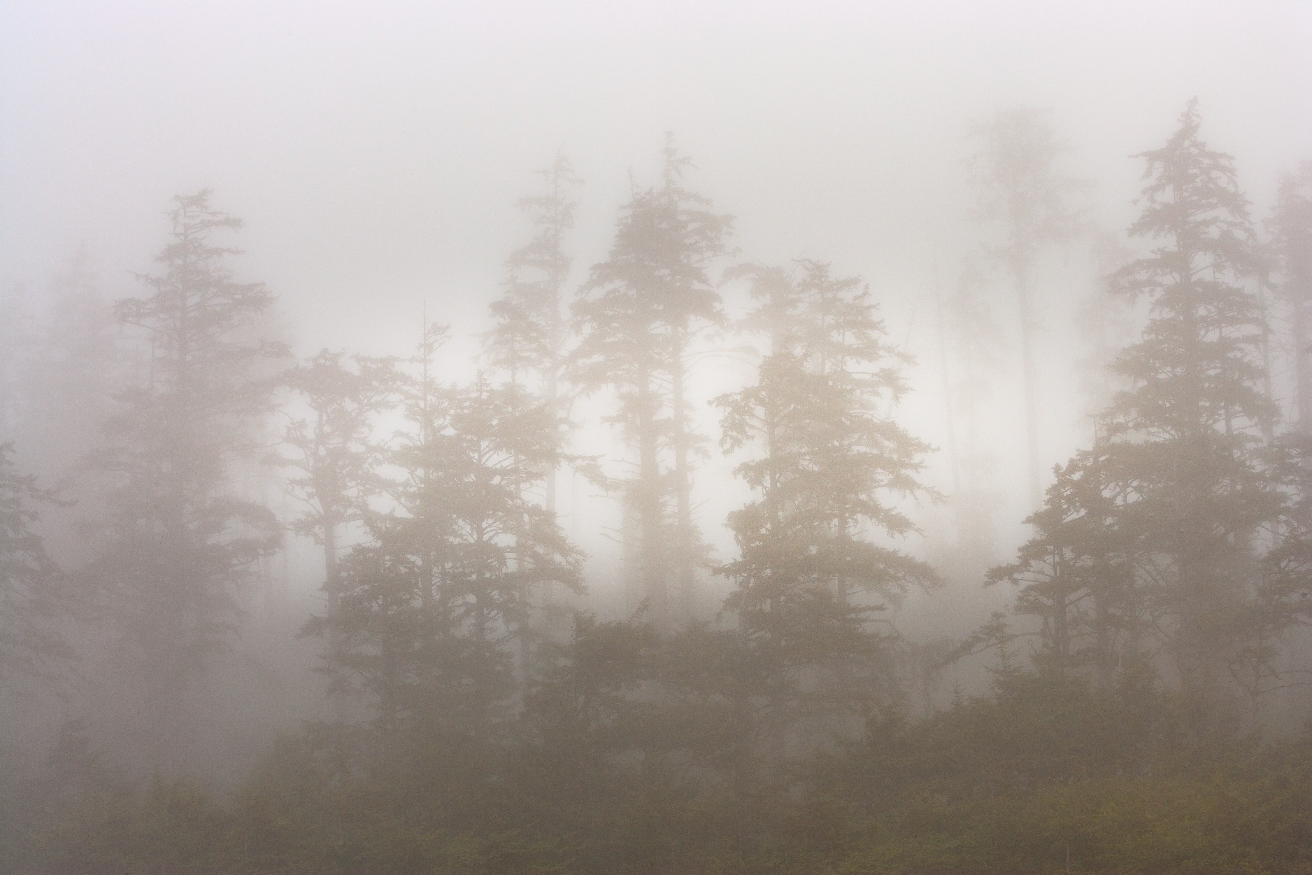 Kanada Pacific Rim Nationalpark