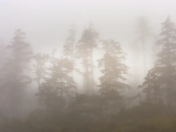 Kanada Pacific Rim Nationalpark