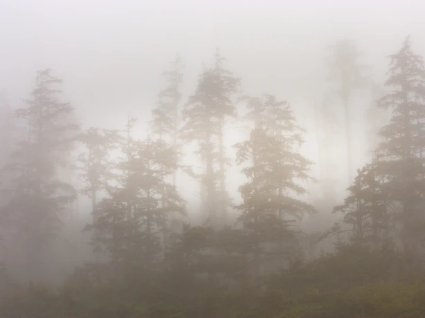 Kanada Pacific Rim Nationalpark