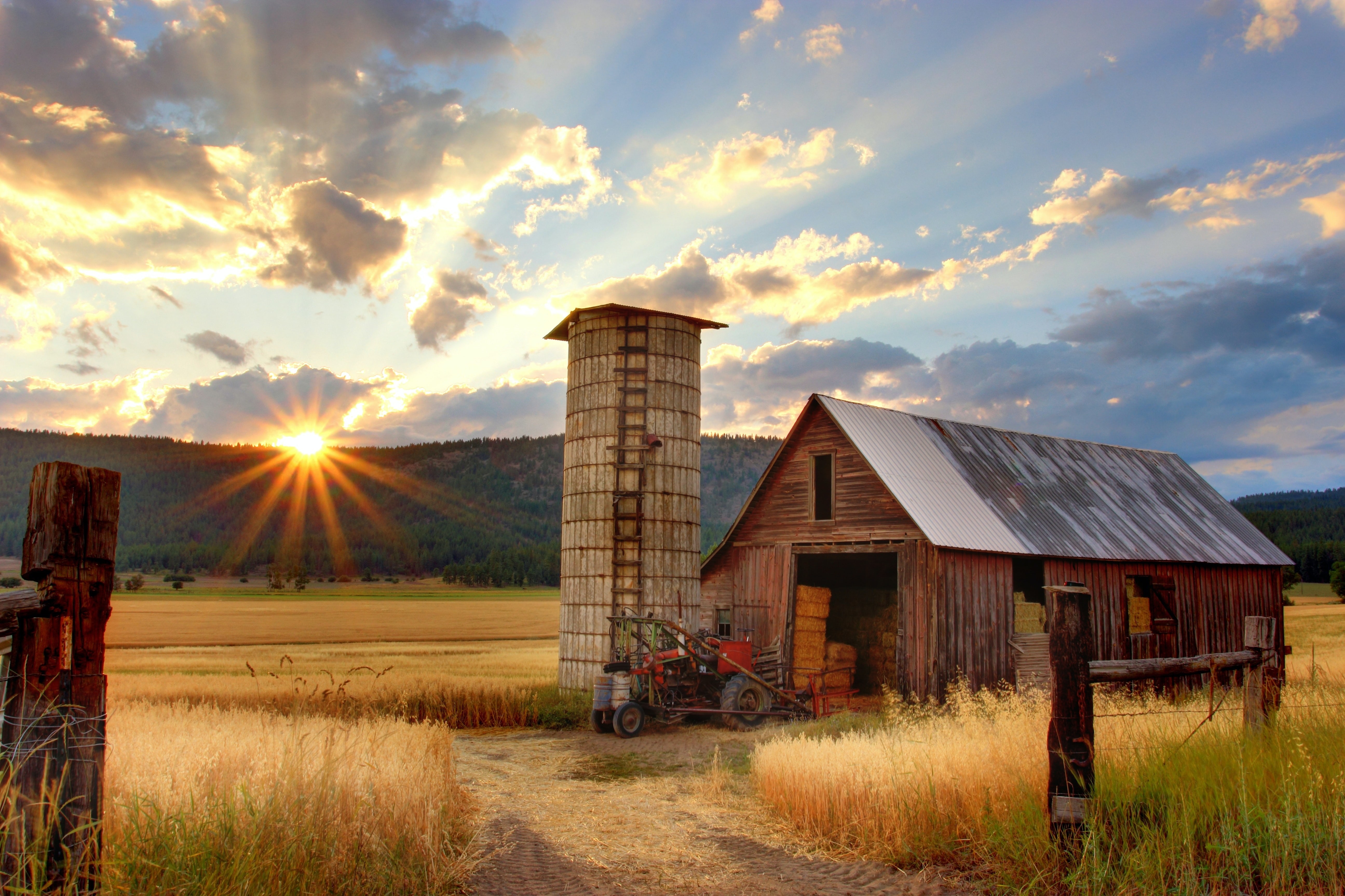 canada-farm-sun-field-sky-clouds-sunrise-wheat