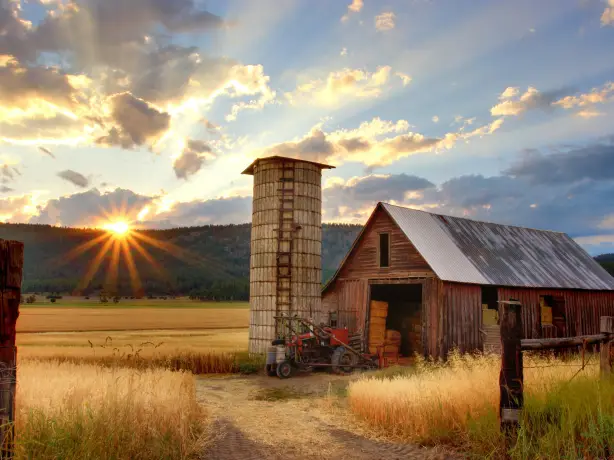 canada-farm-sun-field-sky-clouds-sunrise-wheat