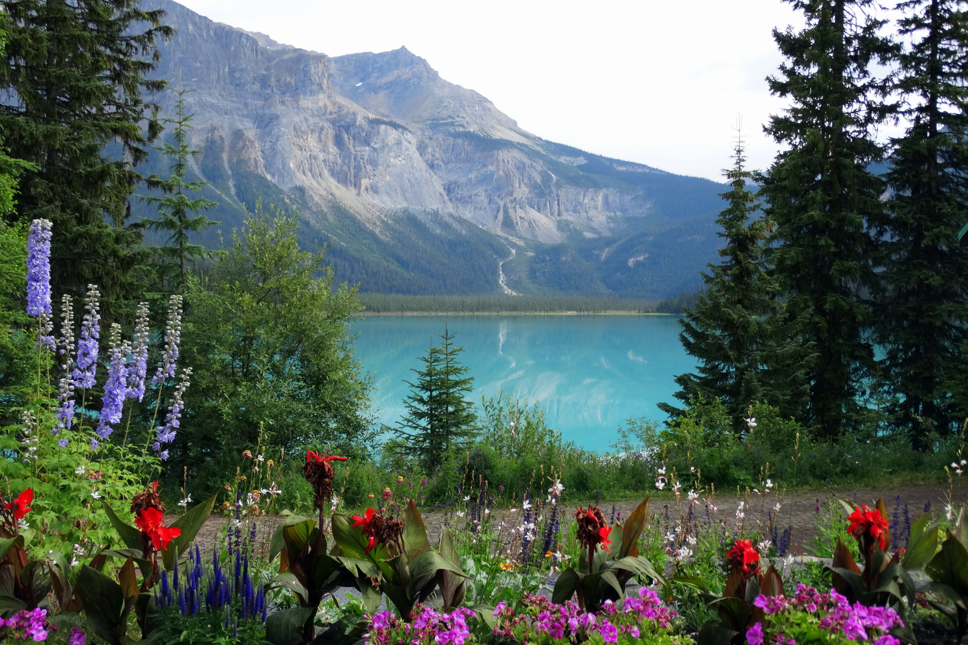 Frühlingsblumen vor einem blauen See in den kanadischen Rocky Mountains, Alberta