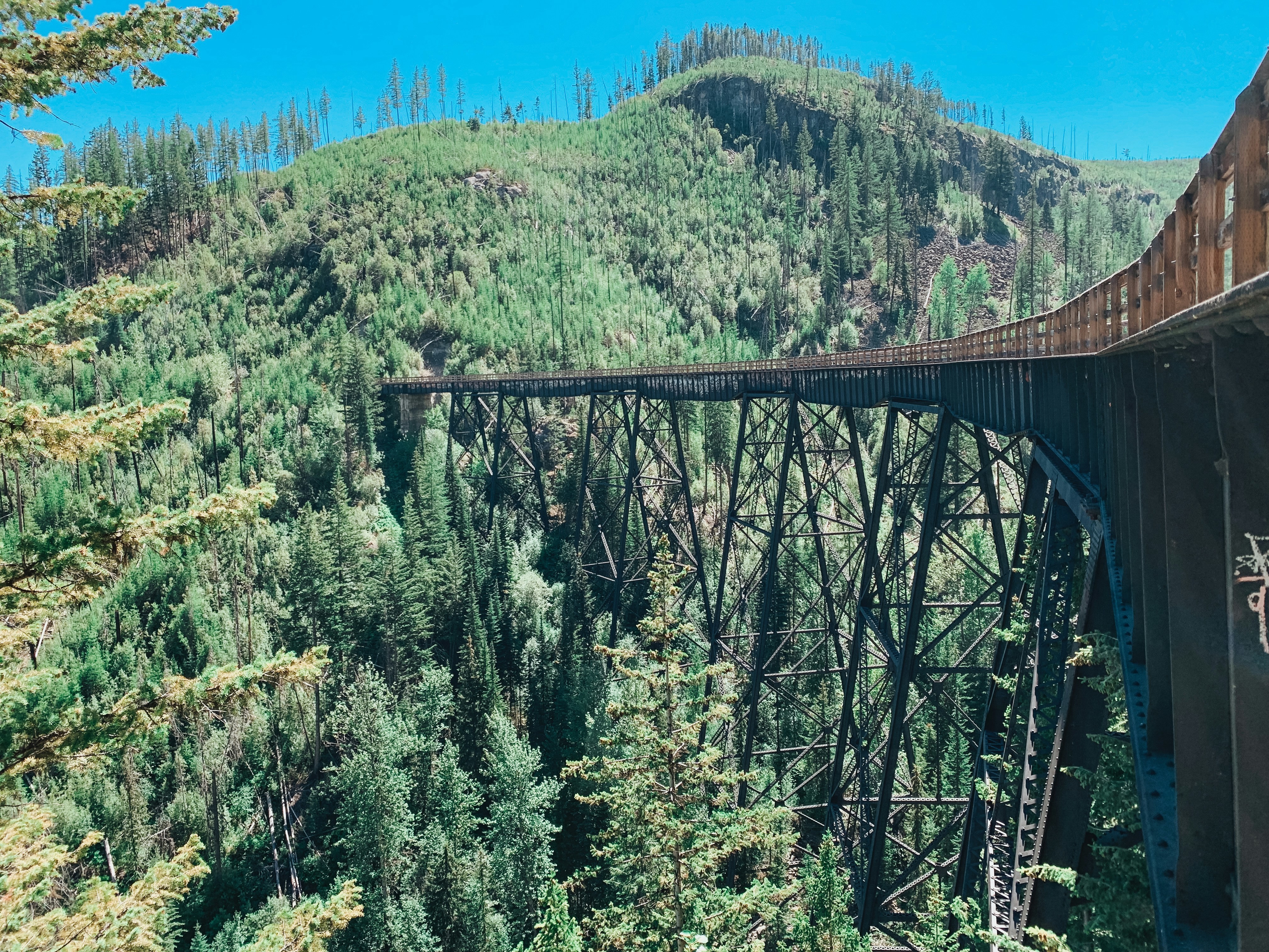 A rail bridge on the Kettle Valley Rail Trail in the Okanagan Valley, Canada