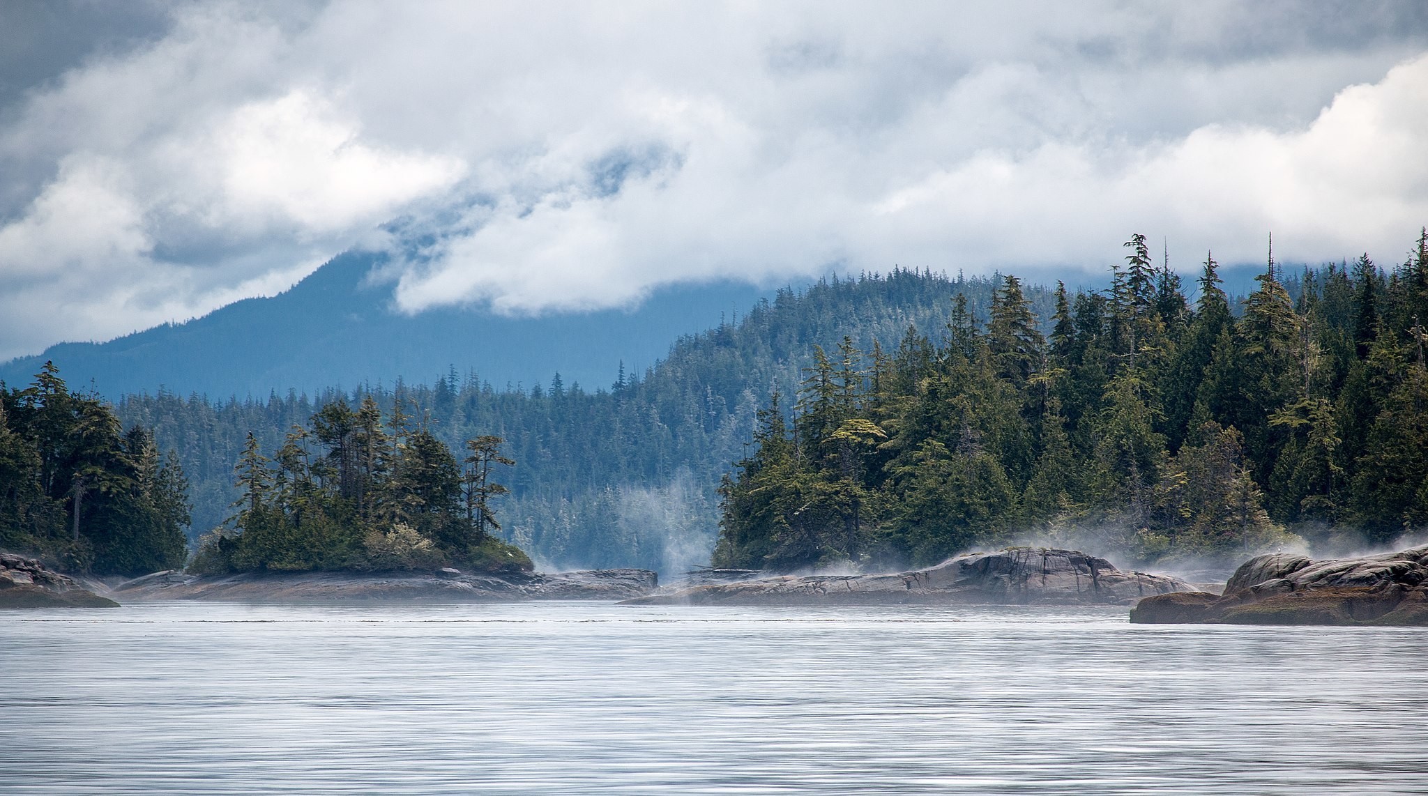 CA British Columbia Vancouver Island Telegraph Cove Broughtonmarinepark