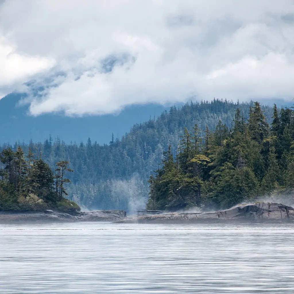 CA British Columbia Vancouver Island Telegraph Cove Broughtonmarinepark