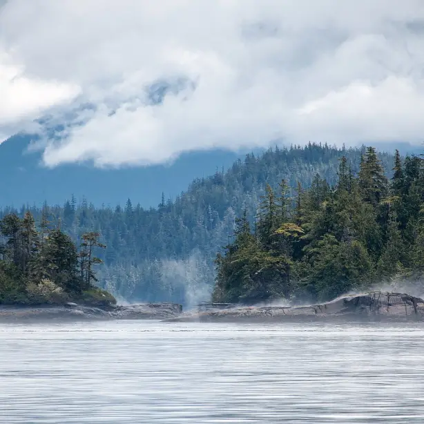 CA British Columbia Vancouver Island Telegraph Cove Broughtonmarinepark