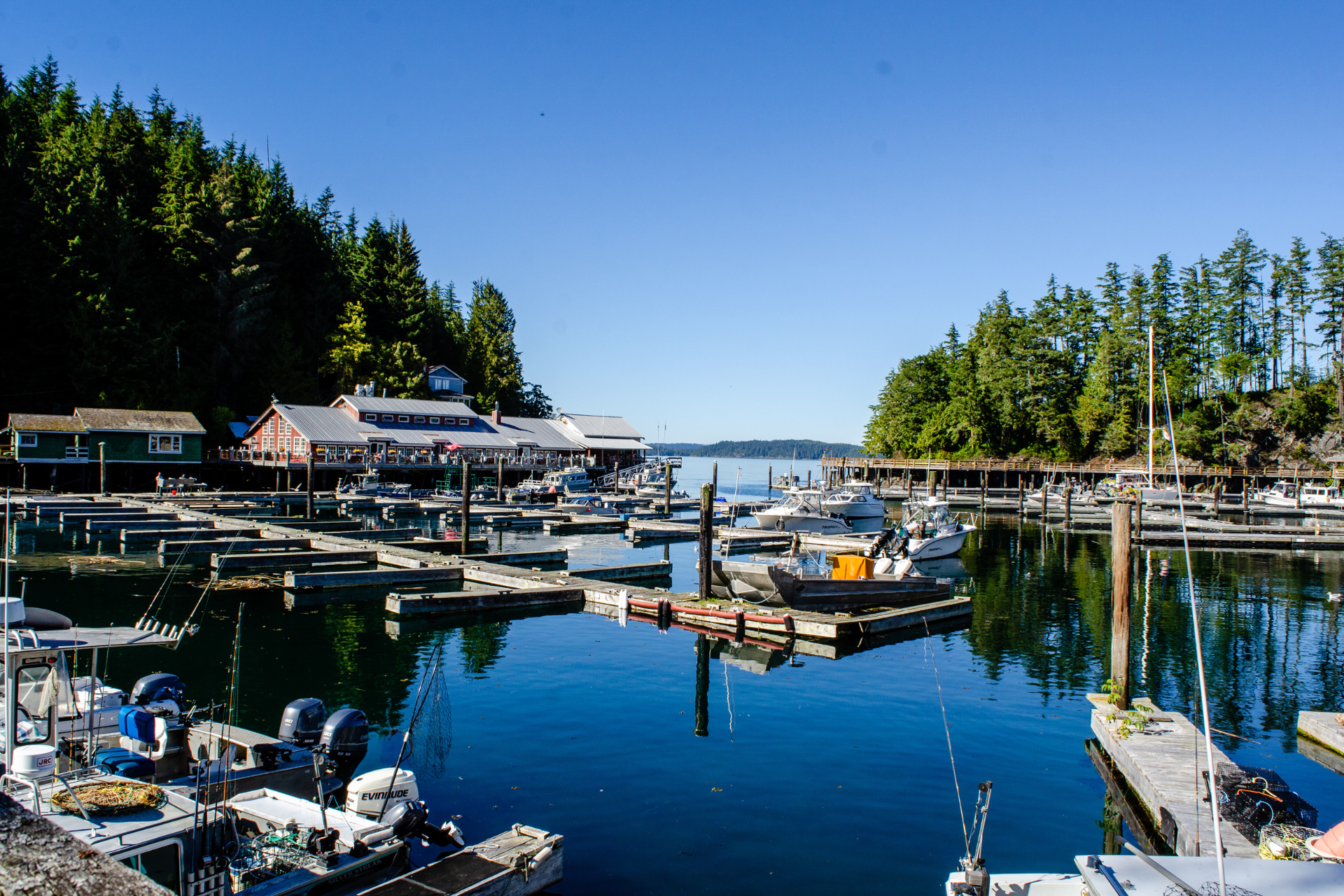 CA British Columbia Vancouver Island Telegraph Cove marina