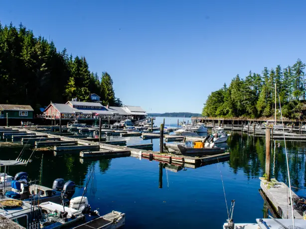 CA British Columbia Vancouver Island Telegraph Cove marina