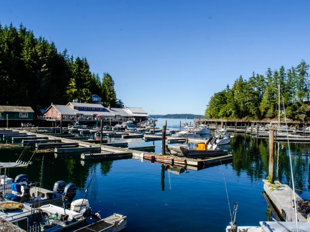CA British Columbia Vancouver Island Telegraph Cove marina