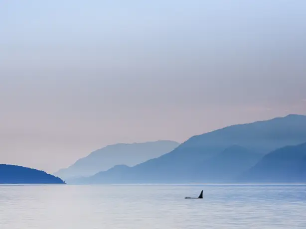 CA British Columbia Vancouver Island Telegraph Cove landscape