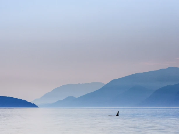 CA British Columbia Vancouver Island Telegraph Cove landscape