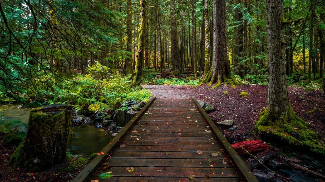 Can BC Whistler Hiking