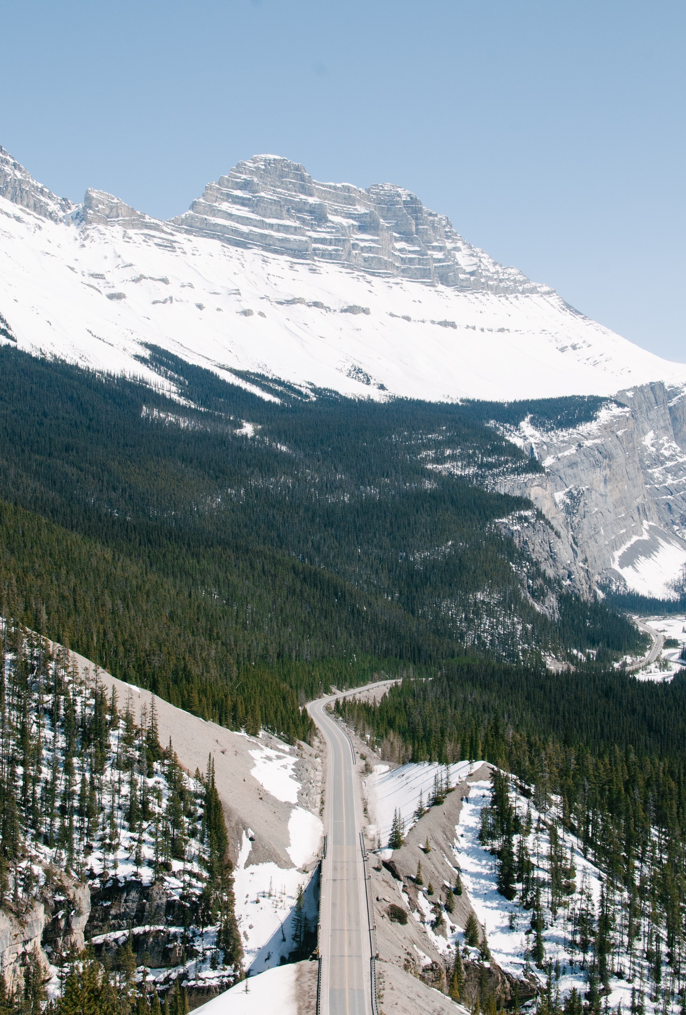 A winding mountain road in Canada leading through dense forest towards high, snow-covered peaks under a clear sky.