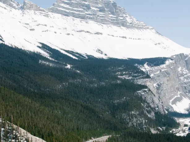Eine kurvenreiche Bergstraße in Kanada führt durch dichte Wälder zu hohen, schneebedeckten Gipfeln unter einem klaren Himmel.