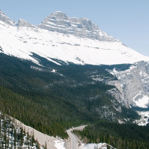 A winding mountain road in Canada leading through dense forest towards high, snow-covered peaks under a clear sky.