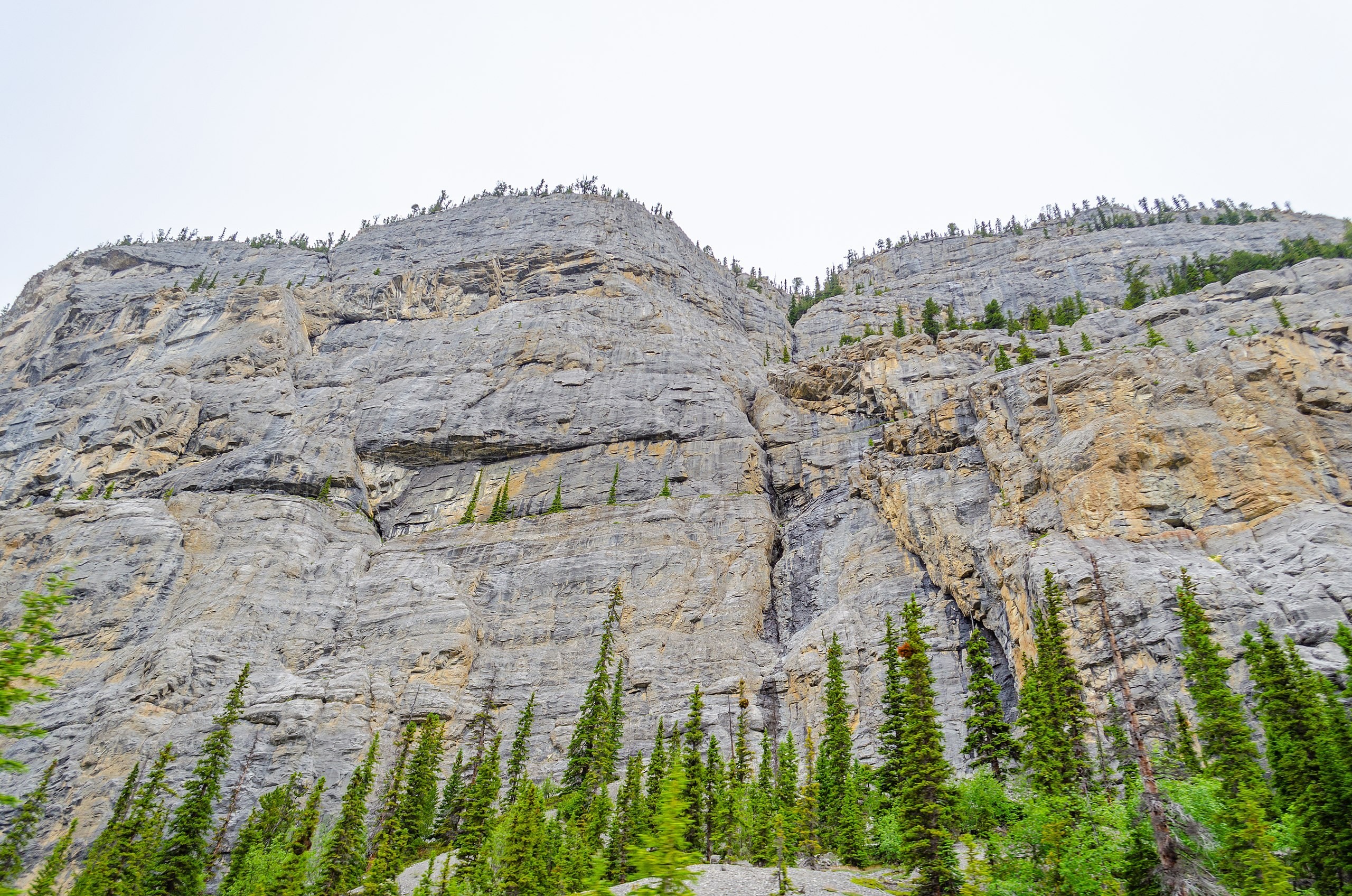 Canada icefields parkway weeping wall summer