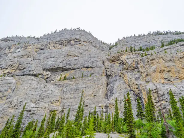 Canada icefields parkway weeping wall summer
