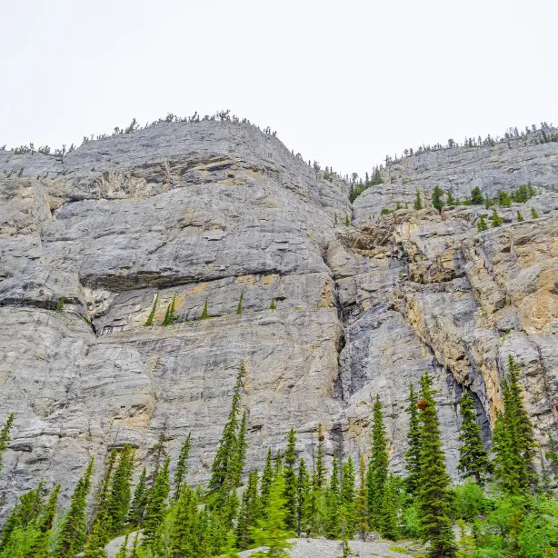 Canada icefields parkway weeping wall summer