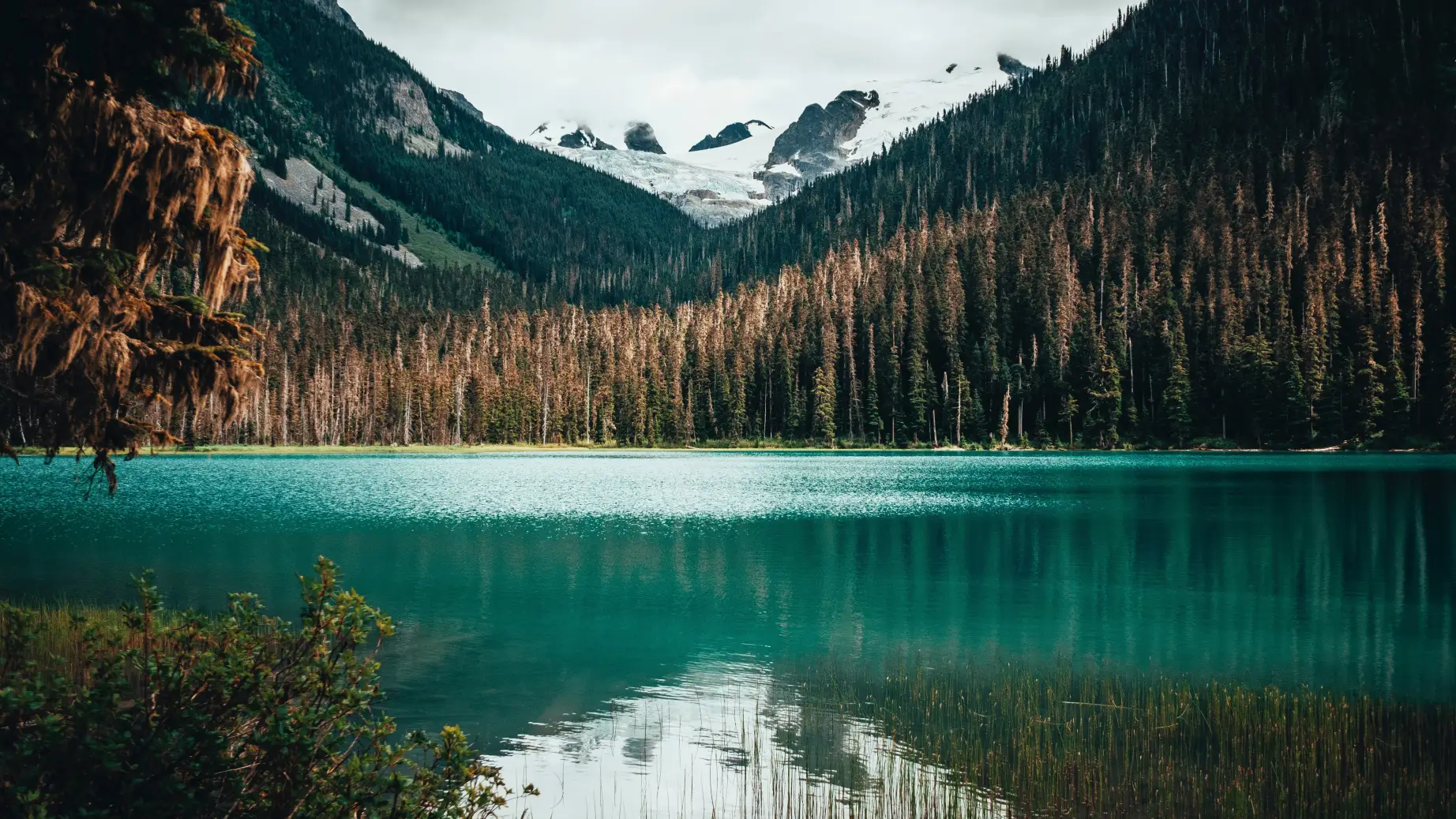 Pemberton