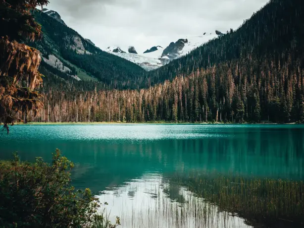 Pemberton