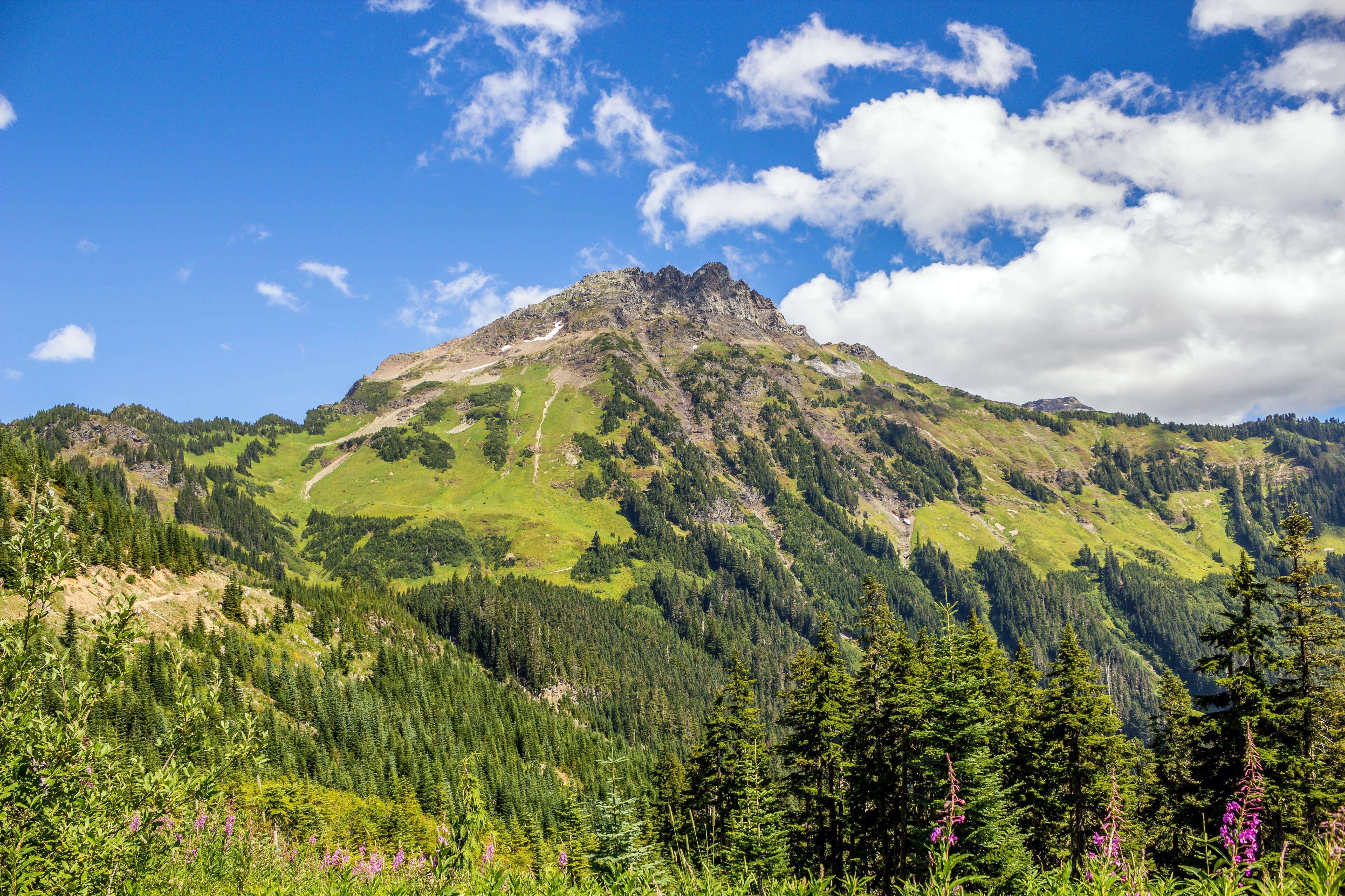 Kanada British Columbia Chilliwack mt cheam george triay