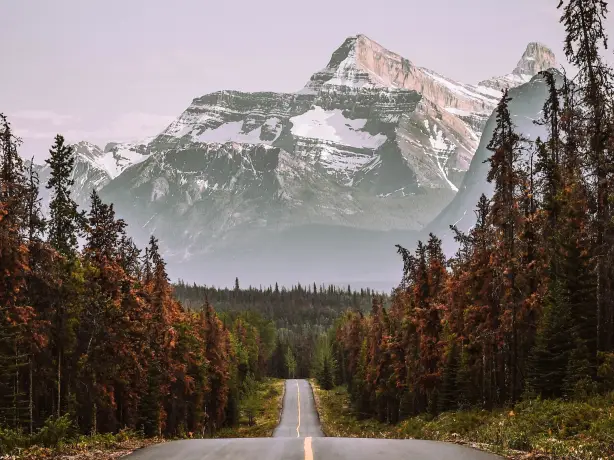 Can road mountain alberta