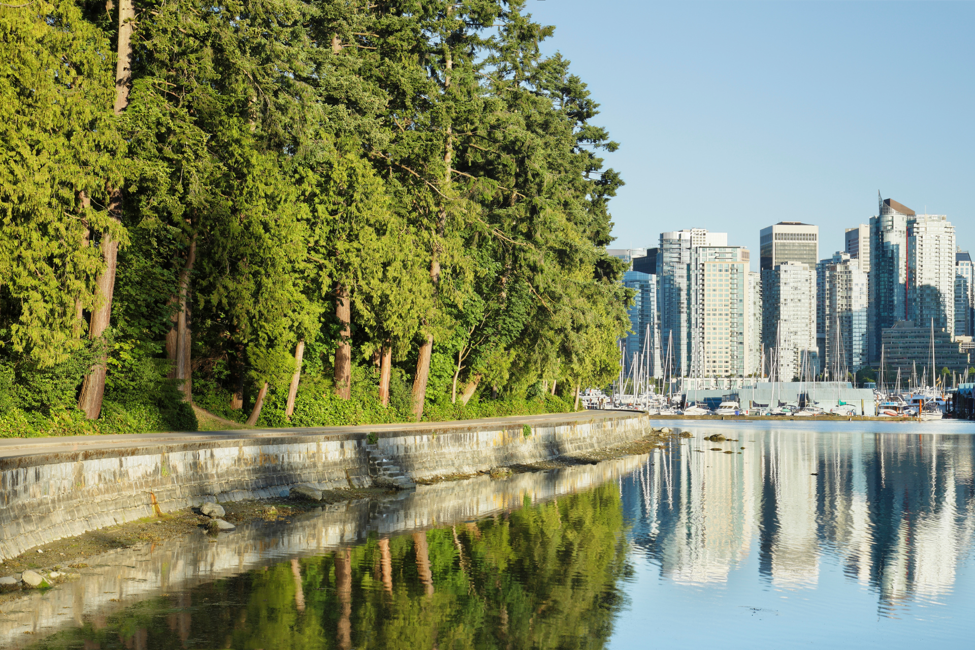 5889 Canada Vanouver Stanley Park