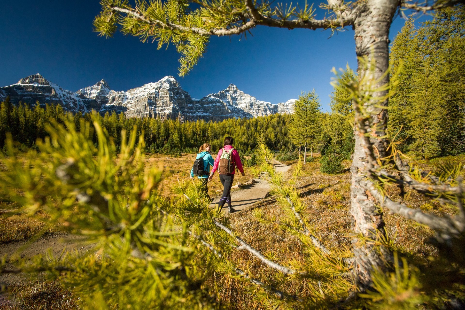 ca_couples_hiking lake louise larch valley sentinel pass