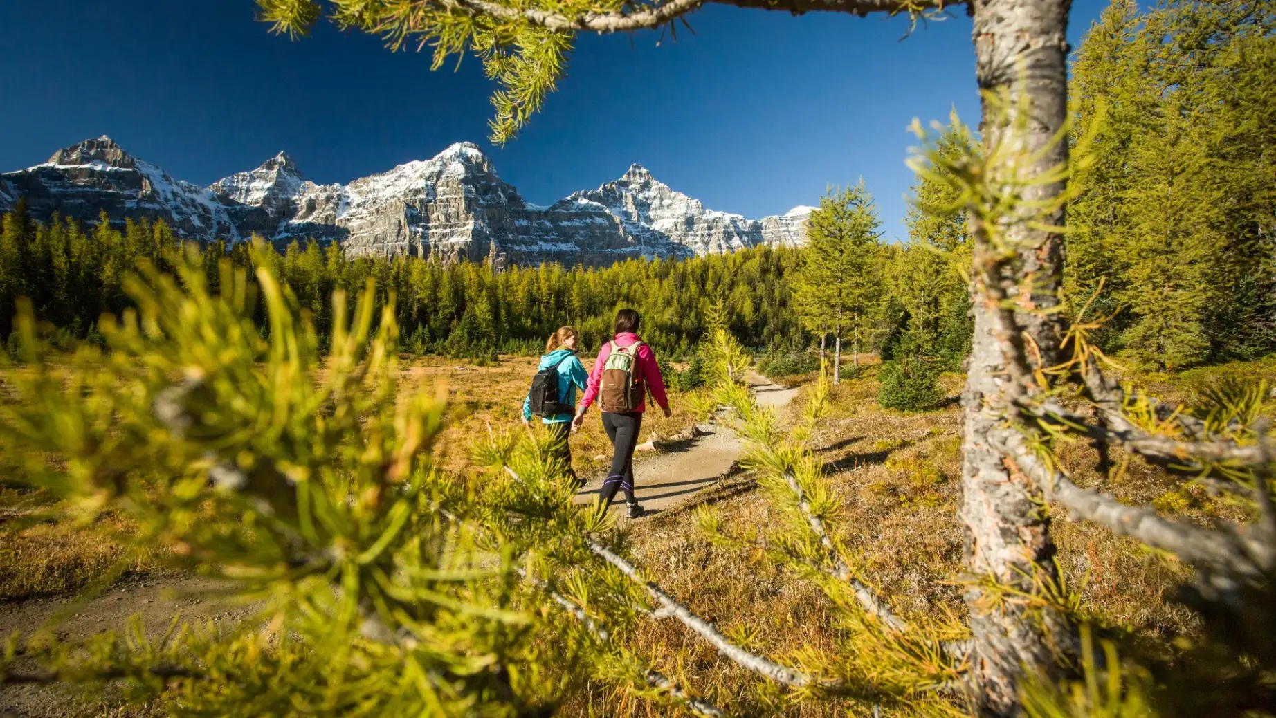ca_couples_hiking lake louise larch valley sentinel pass