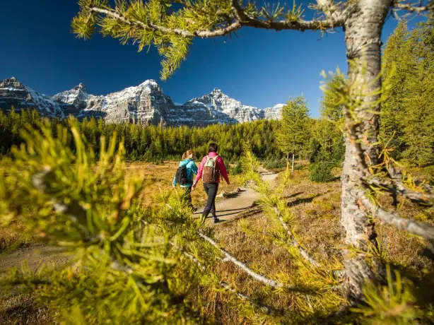 ca_couples_hiking lake louise larch valley sentinel pass